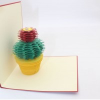 Handmade 3d Popup Card Cactus Greeting Card Birthday Wedding Anniversary Valentines Day Mother's Day Father's Day New Home Housewarming Gift